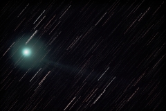 C2014_Q2-Lovejoy_1-11-15