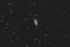 Galaxy NGC 2903 in Leo