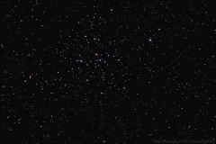 Open cluster Messier 41 (M41) in Canis Major